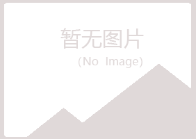 新丰县山柏化学有限公司